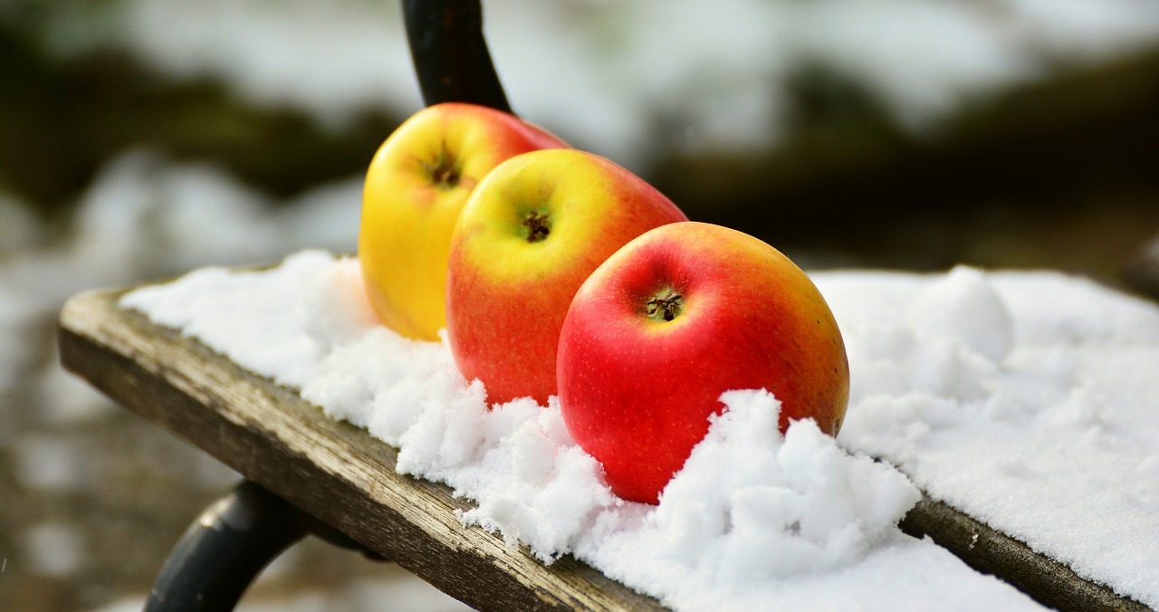 comment continuer le compost en hiver ?