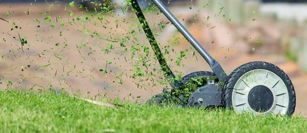 tondre avant l'automne pour récupérer l'herbe fraiche