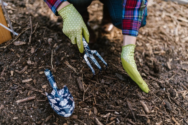 activateur compost